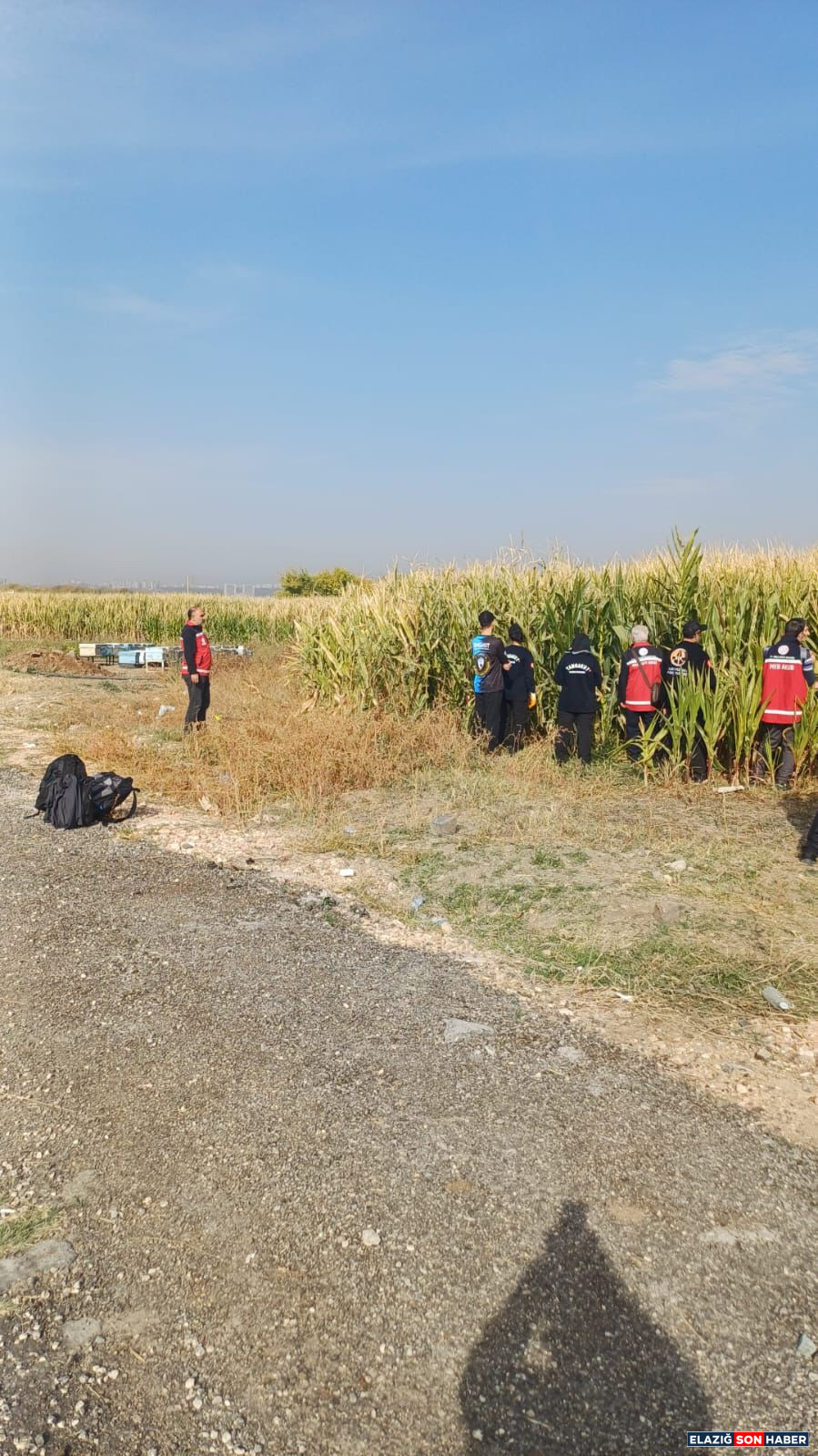 5368701D 0Be4 4A81 8693 0F3Db2C0E6E9