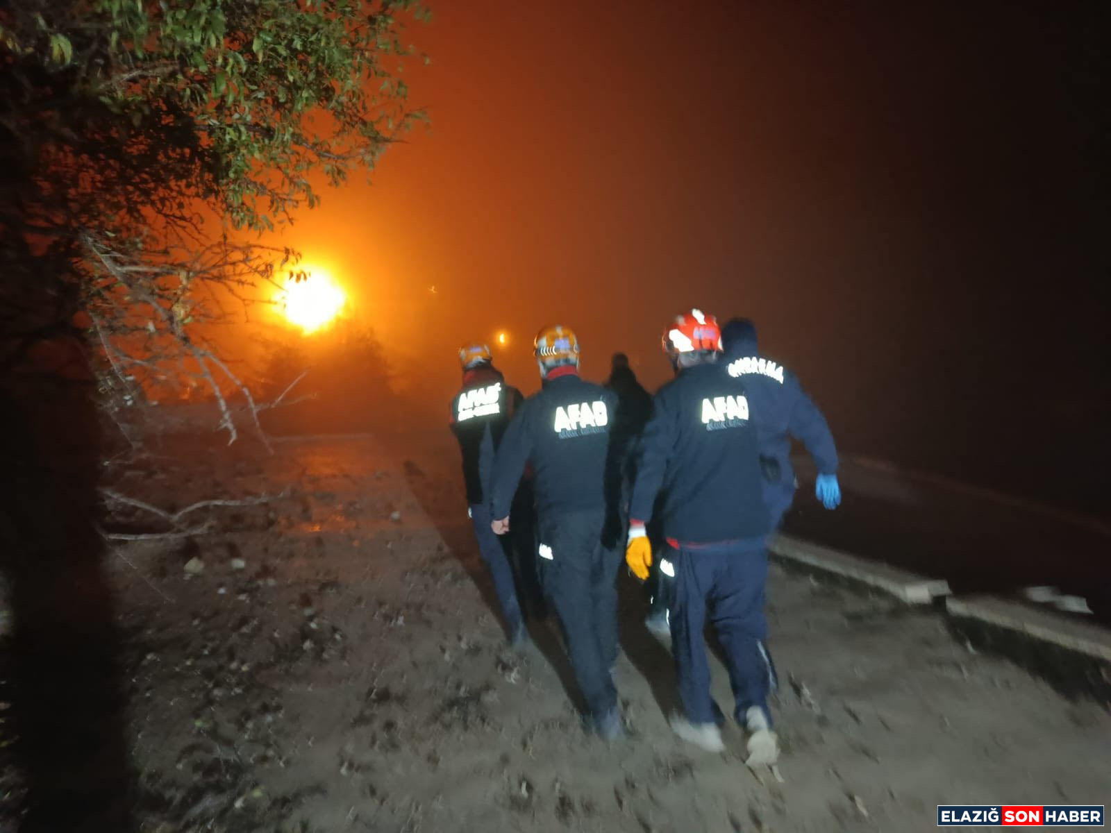 585891168 4244276149186797 1803264855616838302 N