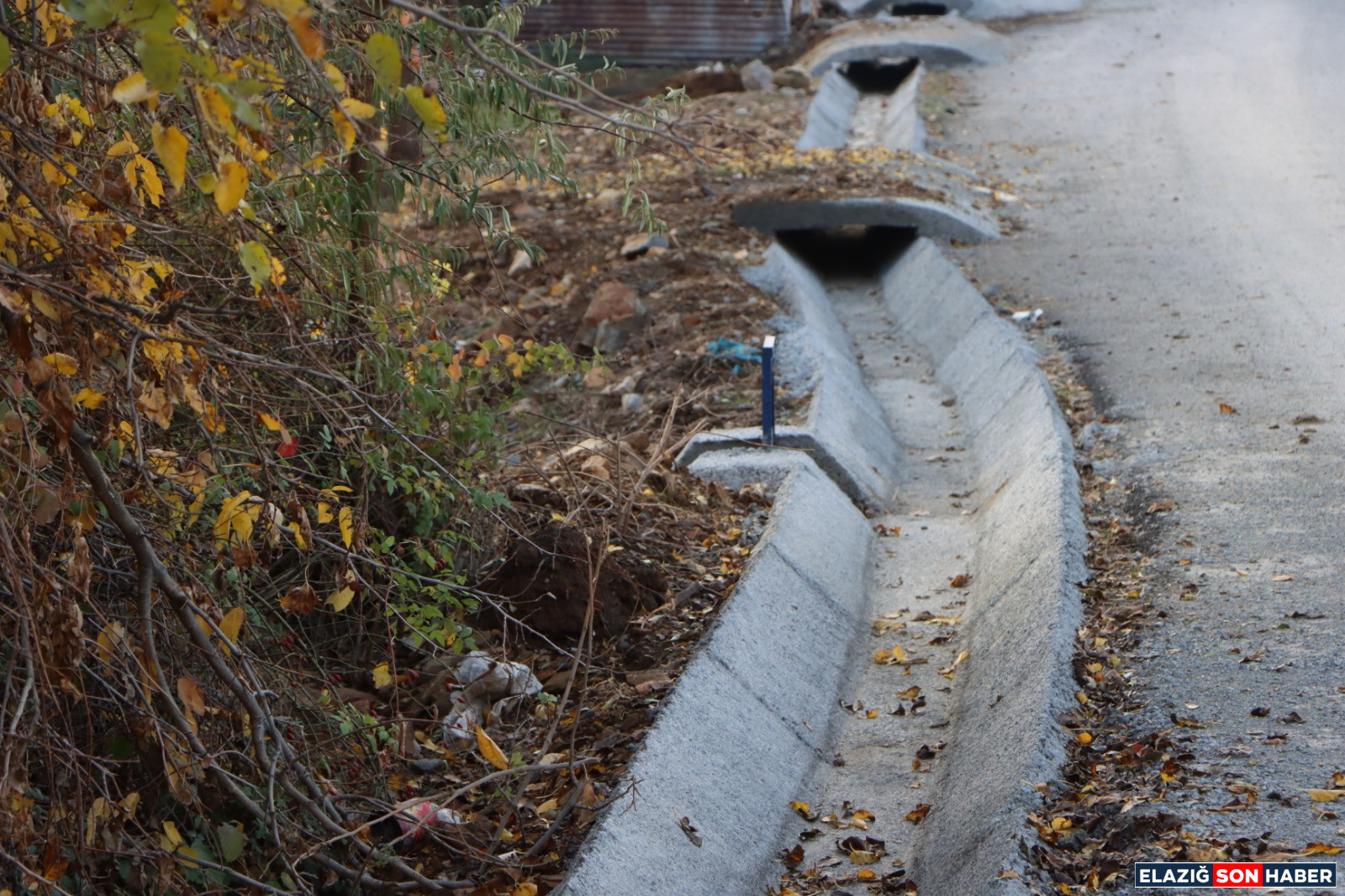 6E7B5Cc0 712C 49Bb 890A Ed0Be37D8A38