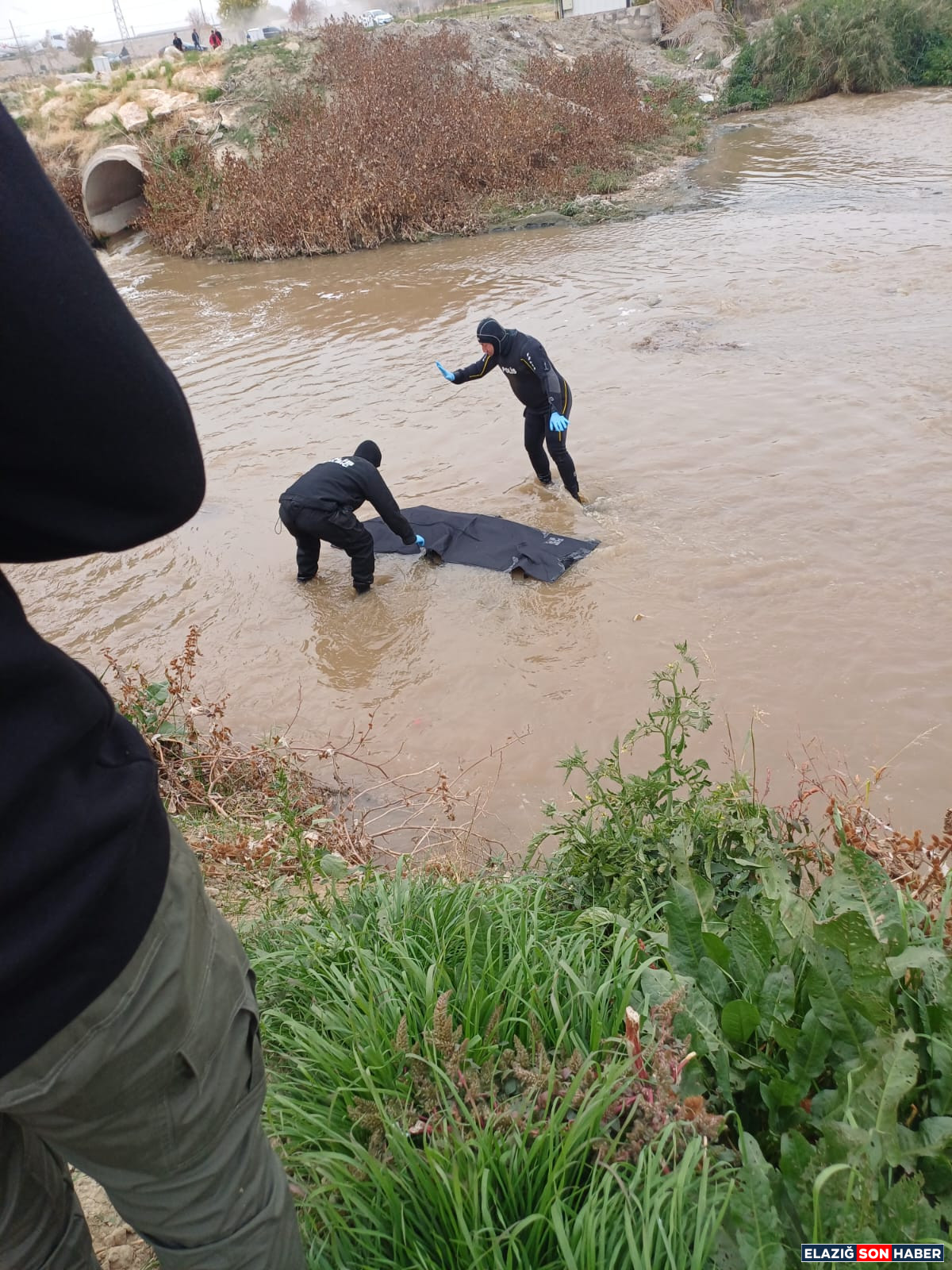 8B065Bcb E31A 4274 9550 Bfe7E562Eda9