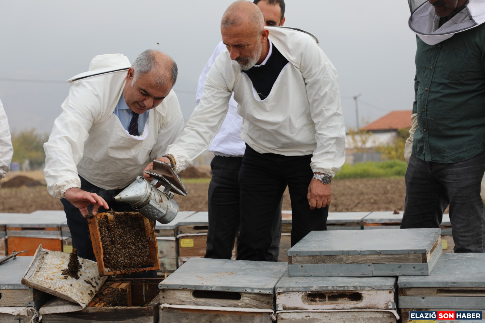 9Bc7F88E E669 4C29 A47D Ebc4B655232A