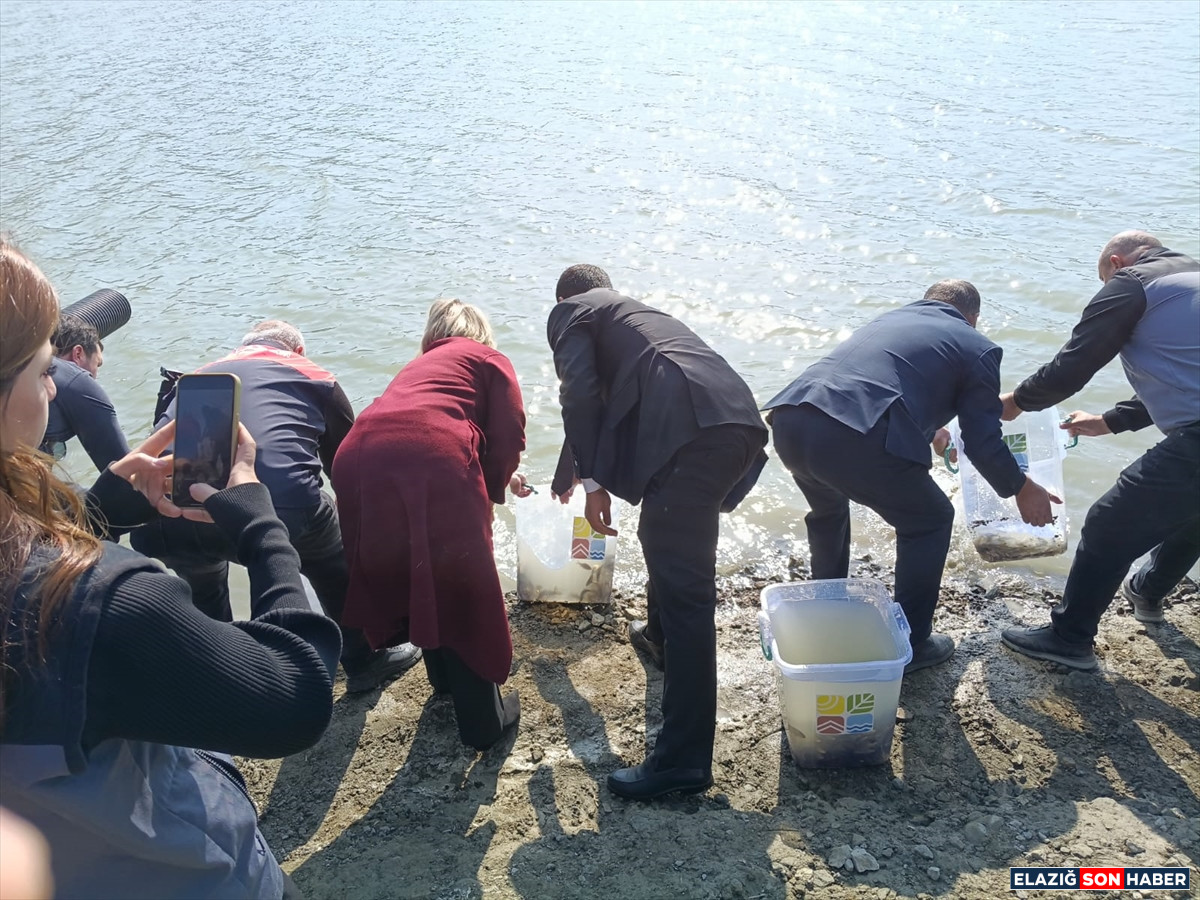 A A 20251112 39691447 39691441 K E B A N D A U R E T I L E N 300 B I N S A Z A N Y A V R U S U N A H C I V A N D A S U Y A B I R A K I L D I