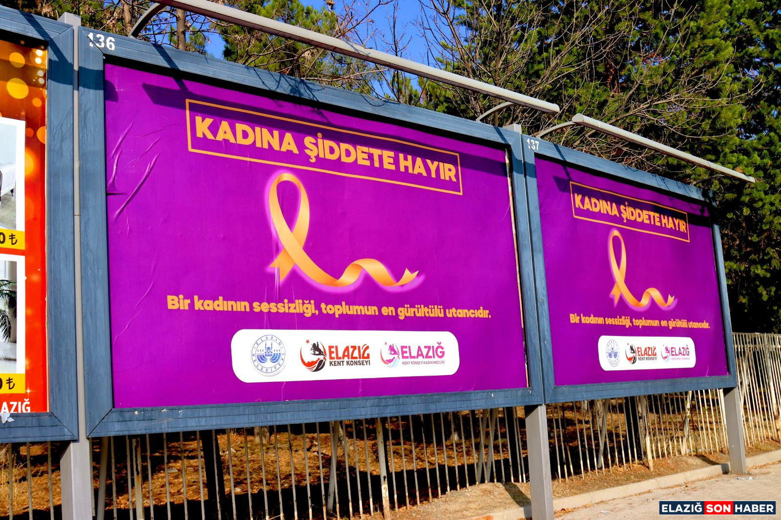 Elazig Kent Konseyi Kadin Mecl 1763729187 A Hd Zby