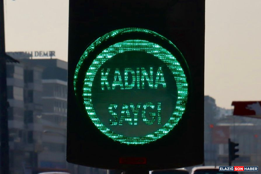 Elazig Kent Konseyi Kadin Mecl 1763729188 D W D Li T