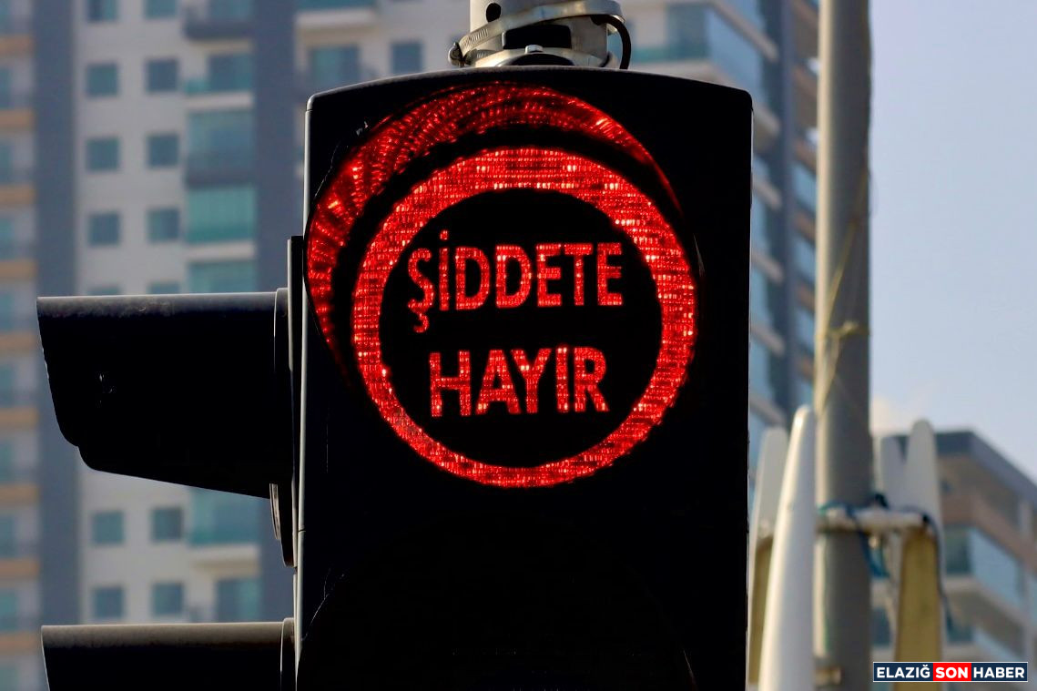 Elazig Kent Konseyi Kadin Mecl 1763729188 Tzqs Q H