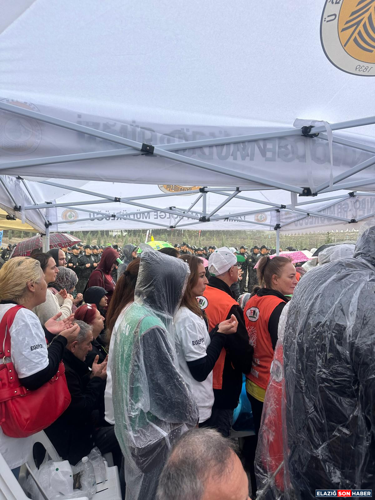 Fdbda5B7 04E9 4831 8932 2Dcab5Be5506