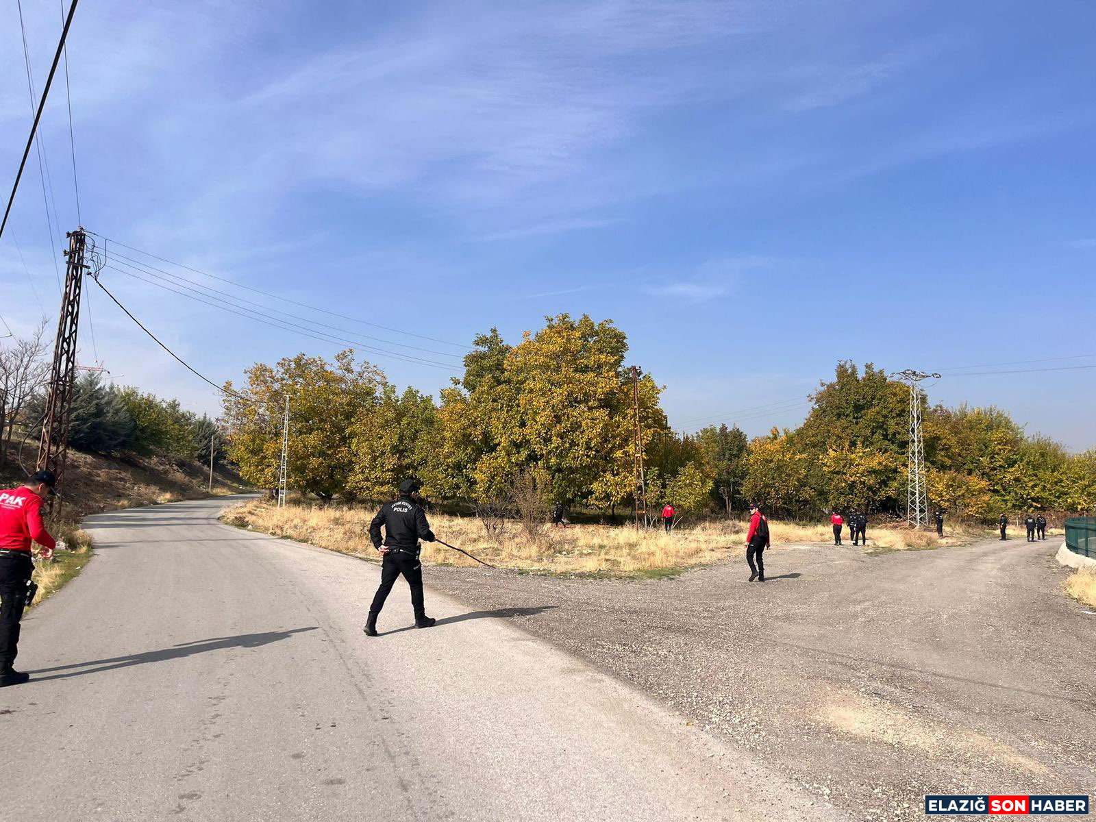 G5 Pd Rh C Ww A Ai87 F