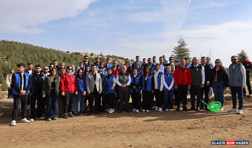 Untitled 1 Cohgkgkgkpy