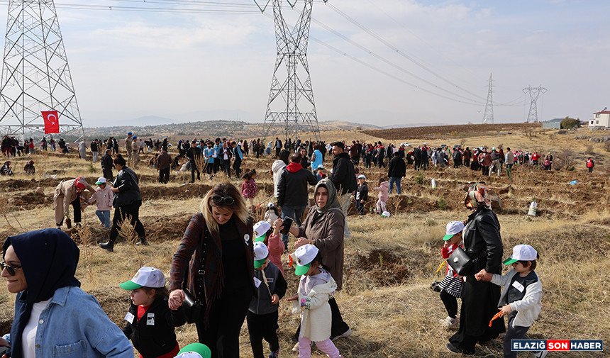 Untitled 1 Cohjkhkhkpy