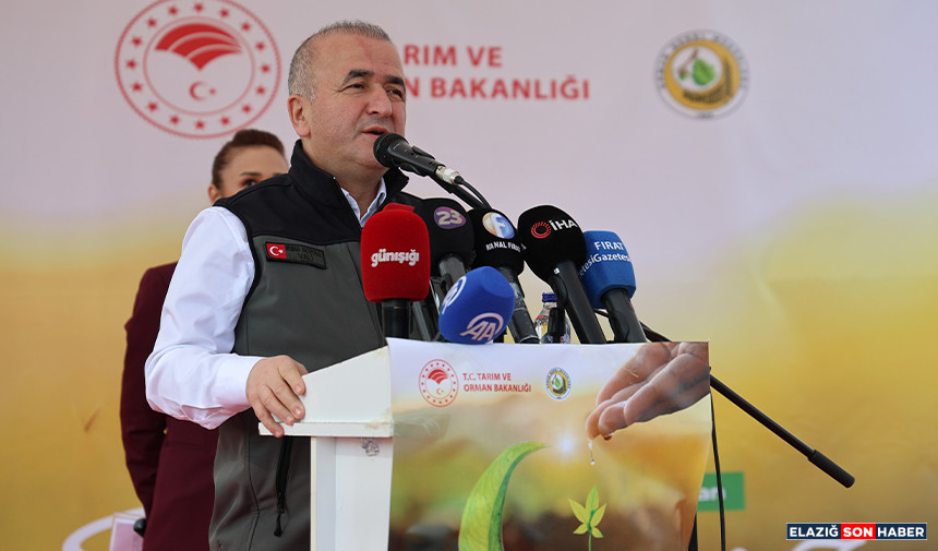 Untitled 1 Copkşlkşjşkjy