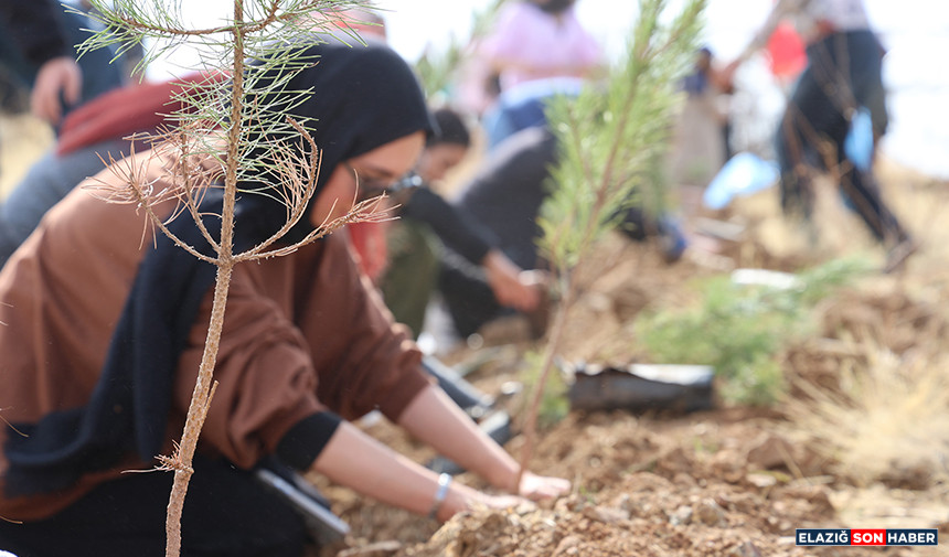 Untitled 1 Jhkhkhkhkhk