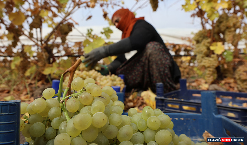 Untitled 1.Jpgfdhdhdfh