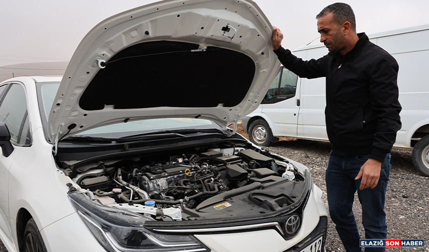 Untitled 1.Jpgghkghkgkgh