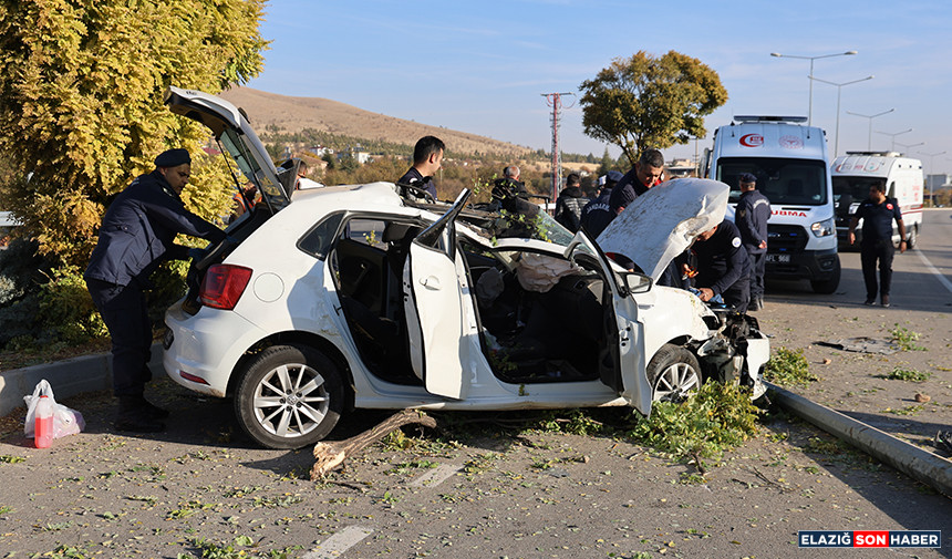 Untitled 1Opiopioipo