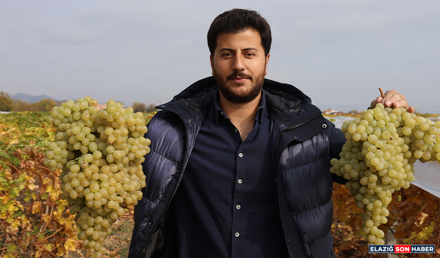 Untitled Gfjgfjfjfjfj