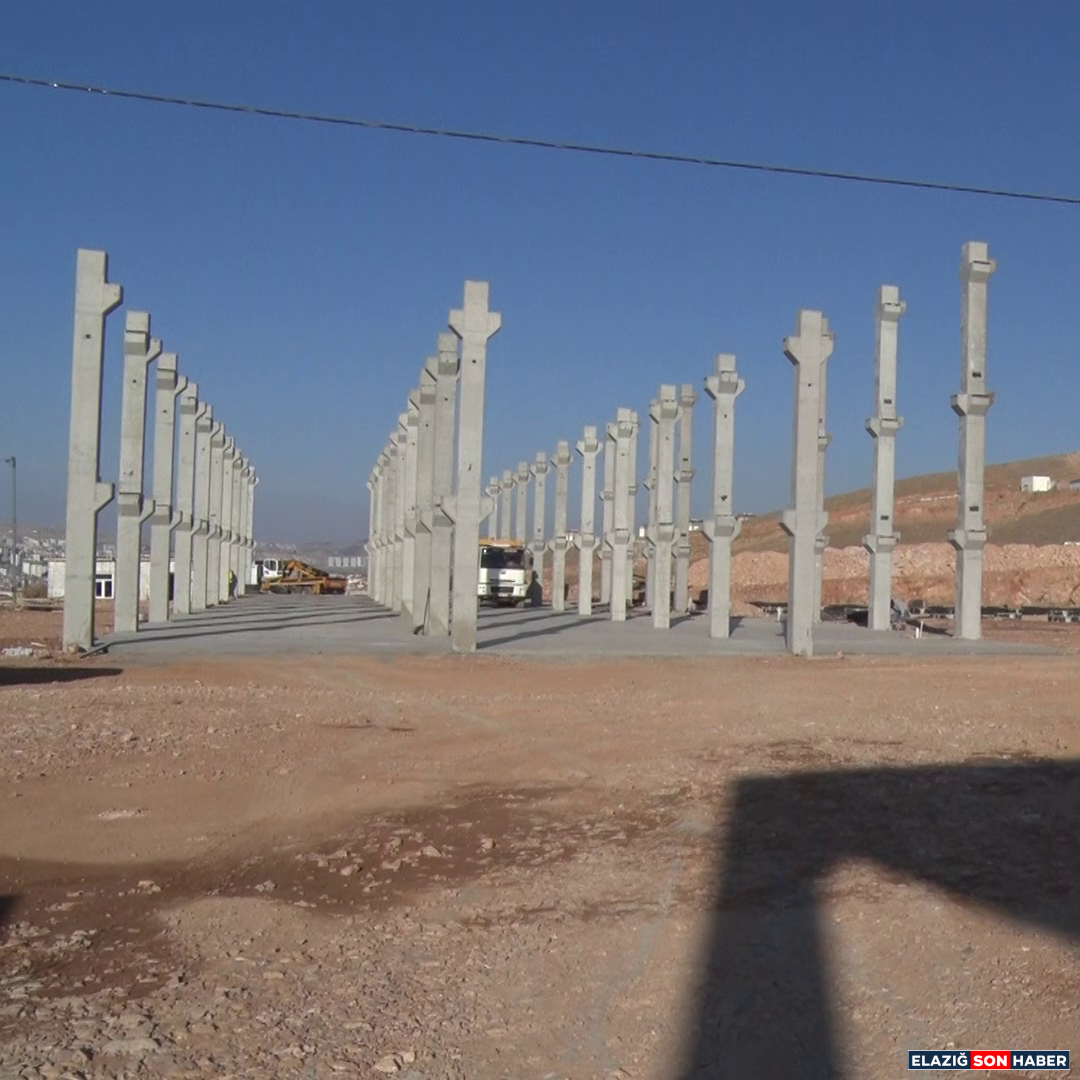 Vlcsnap 2025 11 05 17H25M03S230