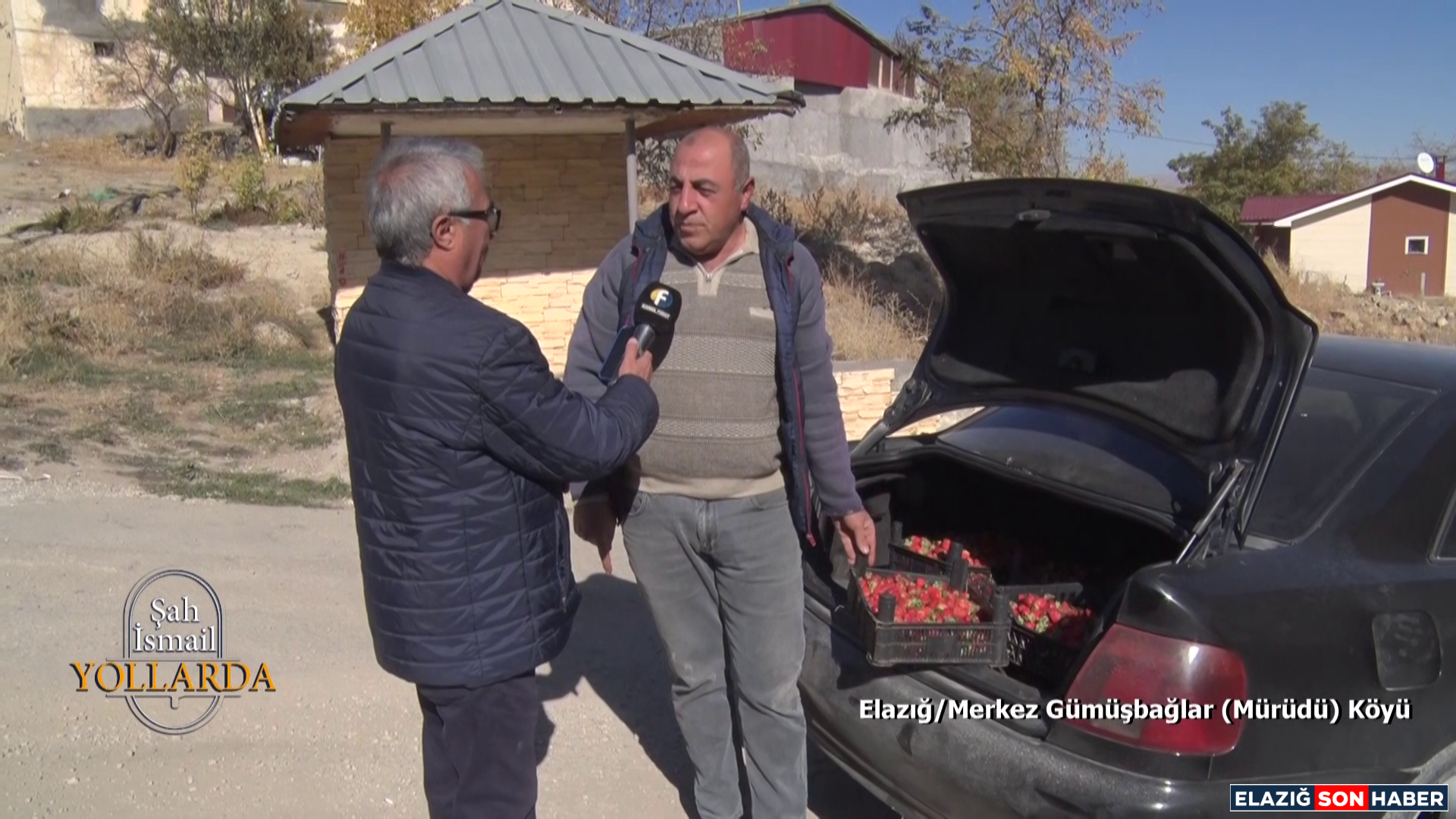 Vlcsnap 2025 11 06 17H02M46S360