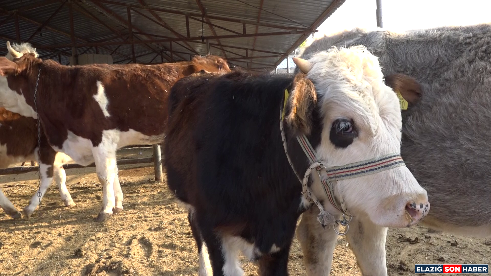 Vlcsnap 2025 11 21 19H38M02S601