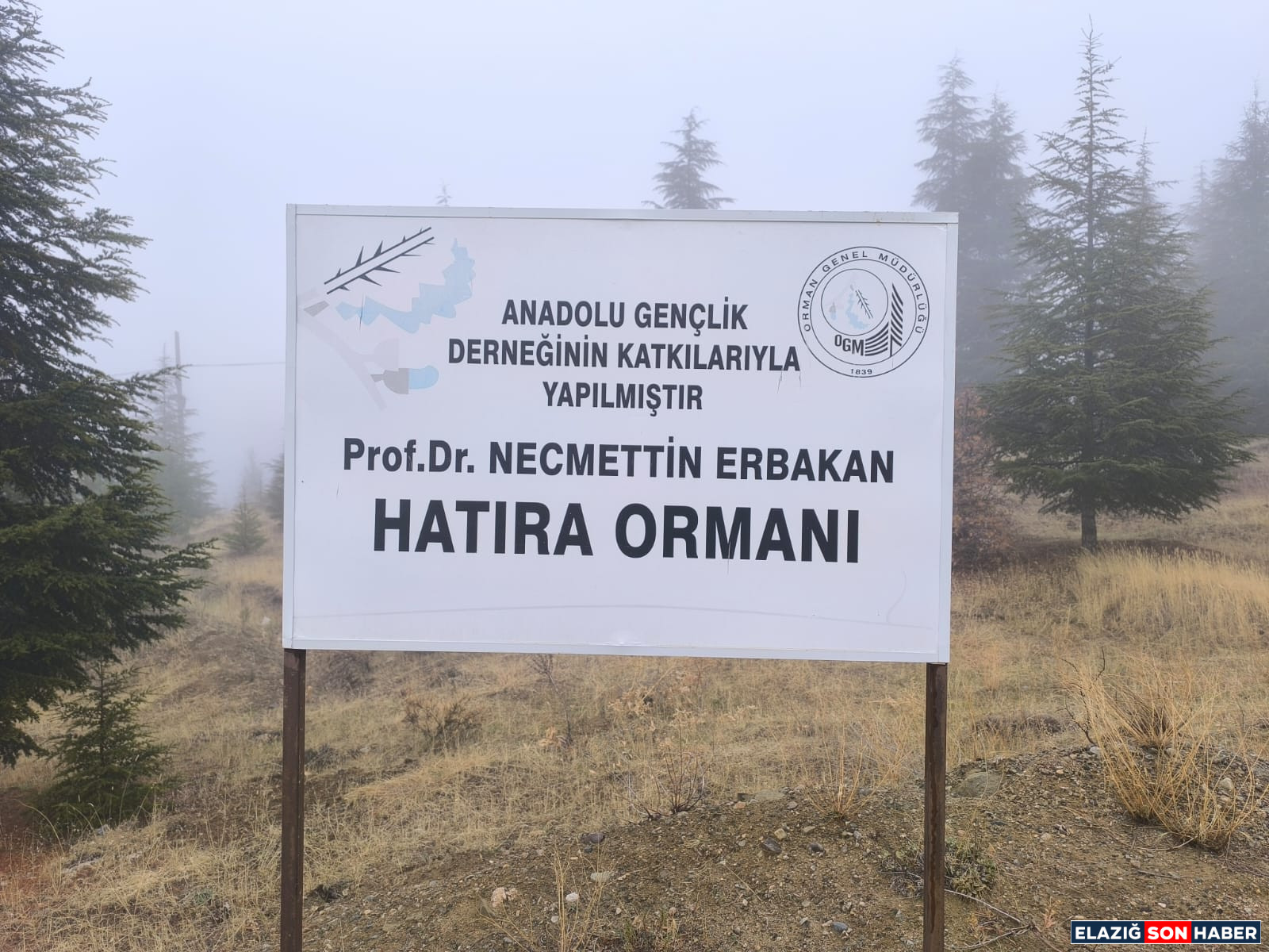 Whatsapp Görsel 2025 11 22 Saat 17.43.58 5D5Afc77