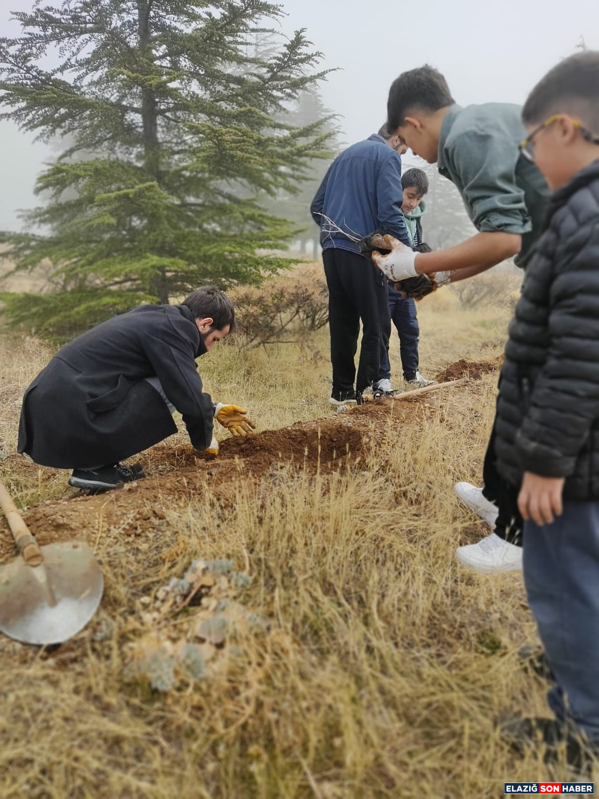 Whatsapp Görsel 2025 11 22 Saat 17.44.00 Fa0Fefc1