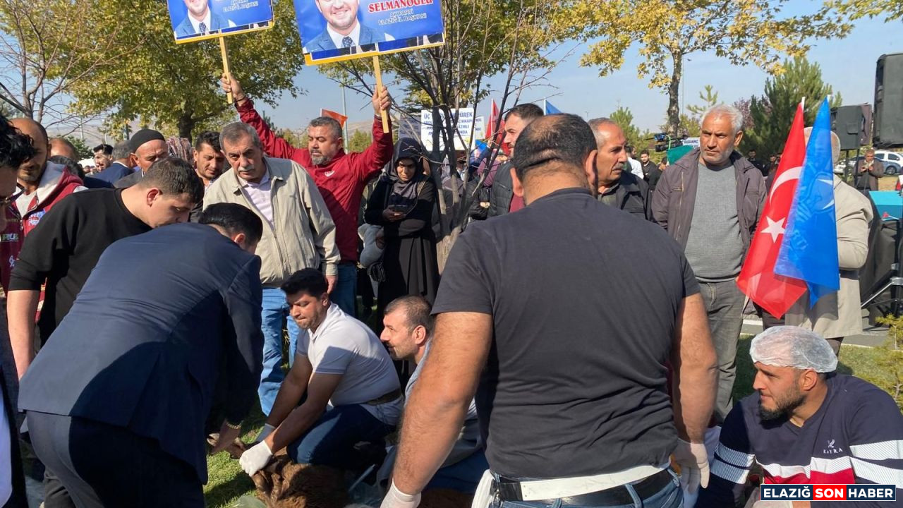 Whatsapp Image 2025 17633341291 09 At 176333412920759 1763334129