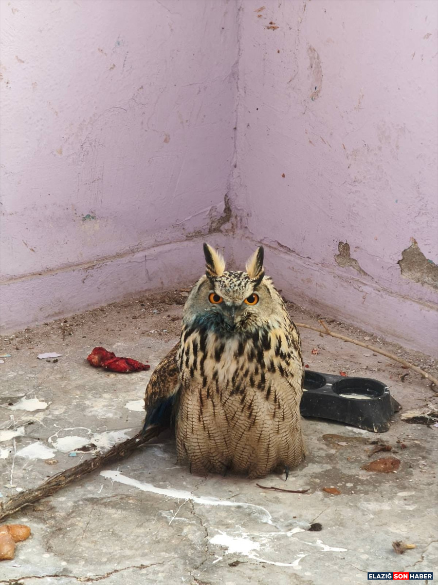 A A 20251226 40085776 40085775 H A K K A R I D E J A N D A R M A N I N B U L D U G U Y A R A L I P U H U T E D A V I Y E A L I N D I