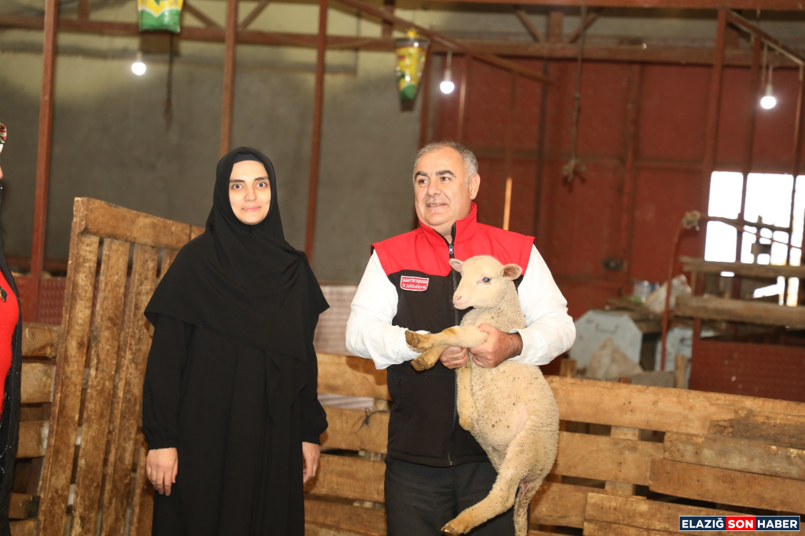 Ad6Cf5Ab E5Ec 4850 A5Ff D77Ff6626385