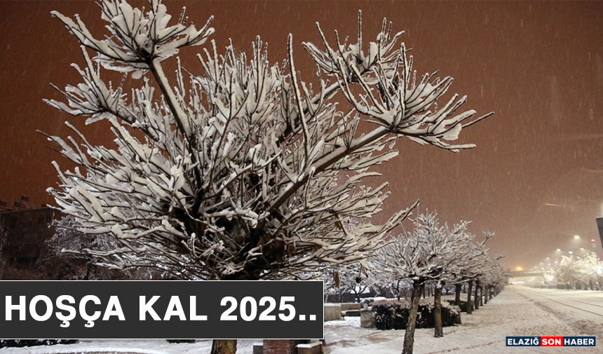 Çanta Tasarımı Recovered