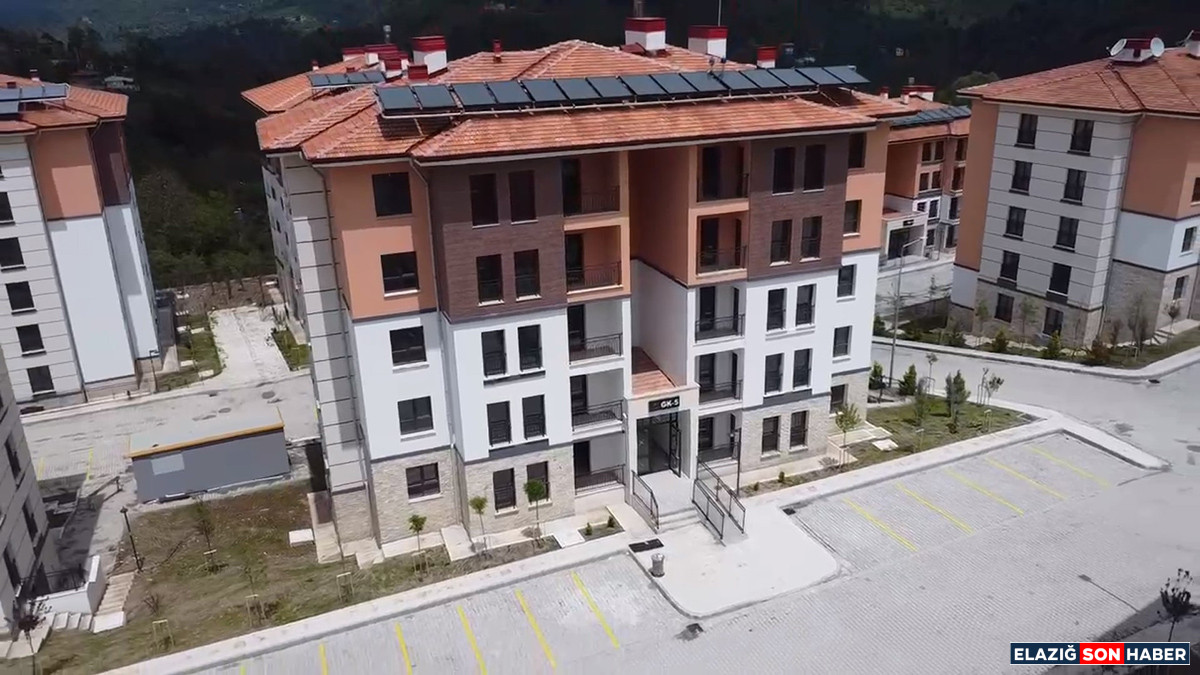 Ce9510Db Edf7 4B9A 81Ef C6C459F14Bee