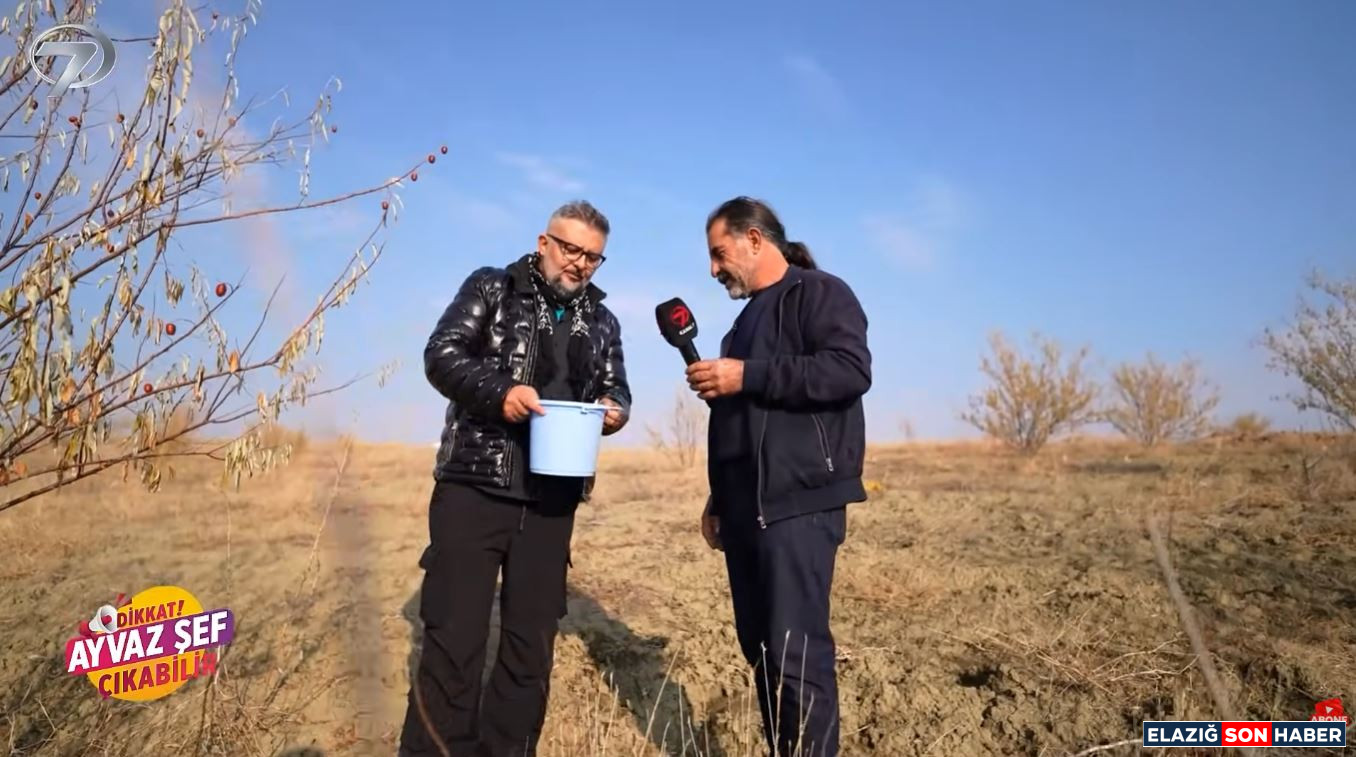 Ekran Alıntısı.jpgşkjşjk