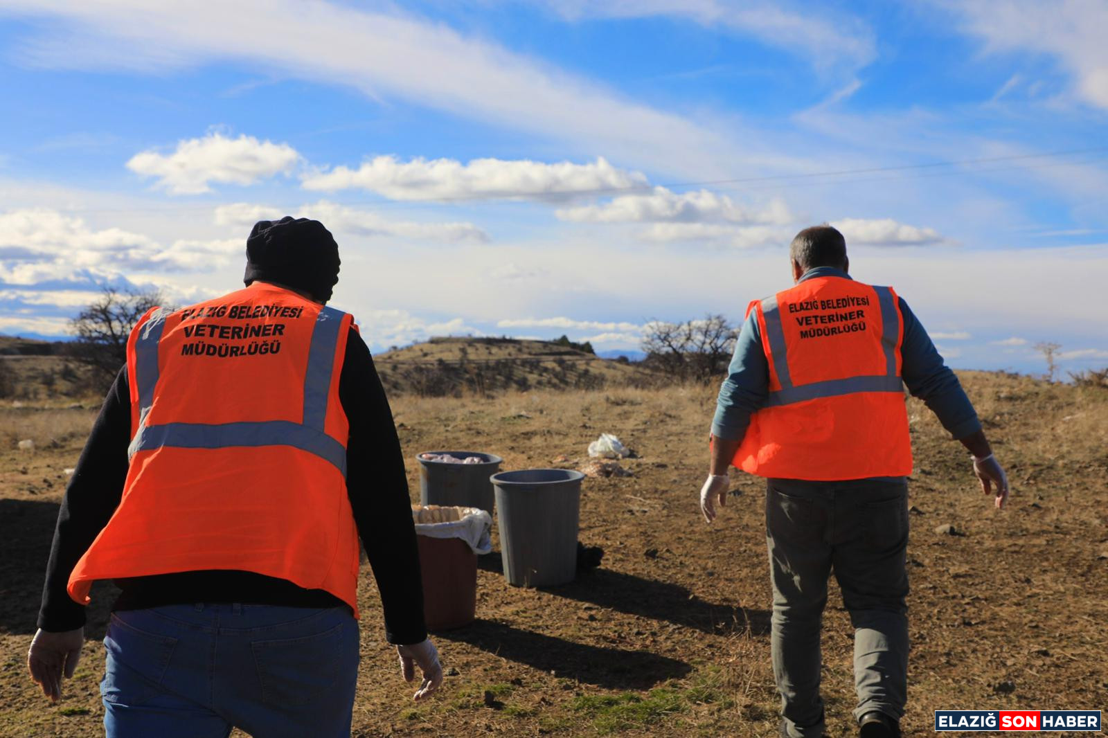 Elazig Belediyesi Dogaya Yem B 1765887680 E Ux T Xr