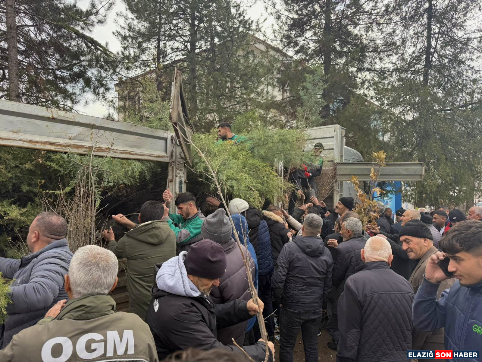 G7 Kmr1 U W8 A A C Kgi