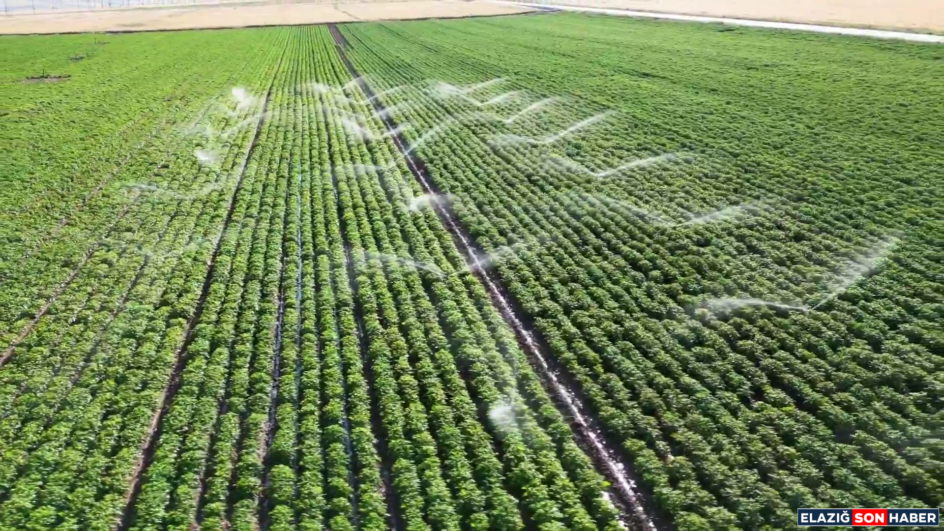 Vlcsnap 2025 12 07 19H49M58S853