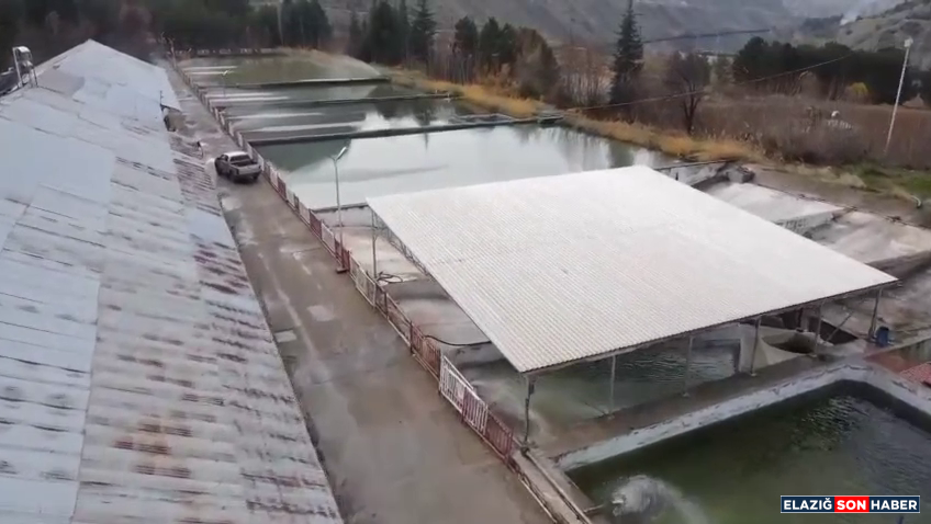 Vlcsnap 2025 12 09 17H40M03S274