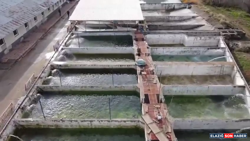 Vlcsnap 2025 12 09 17H40M06S260