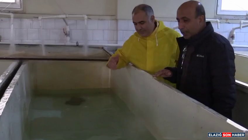 Vlcsnap 2025 12 09 17H40M13S460