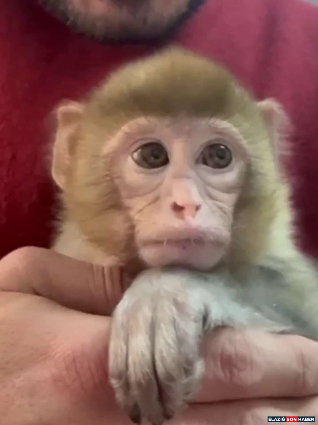 Vlcsnap 2025 12 23 12H49M58S300