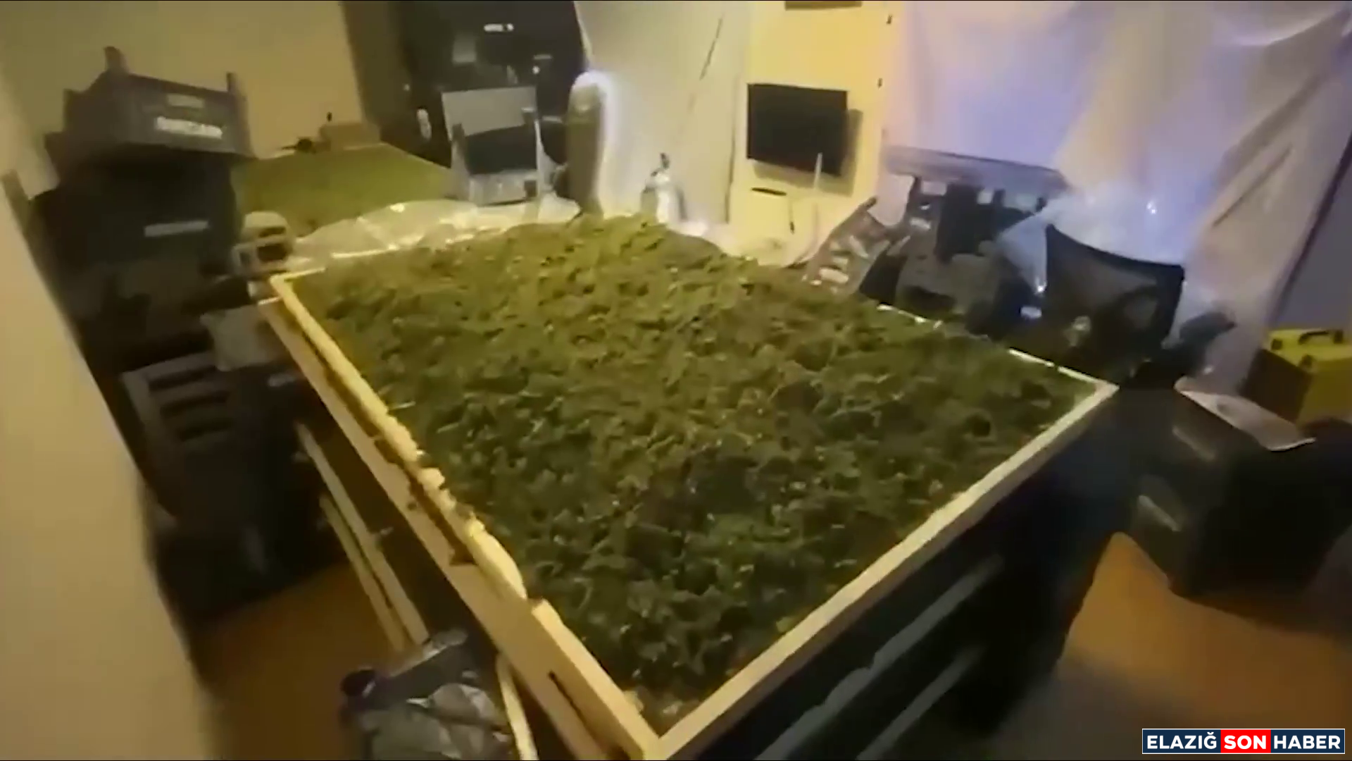 Vlcsnap 2025 12 28 14H25M38S287