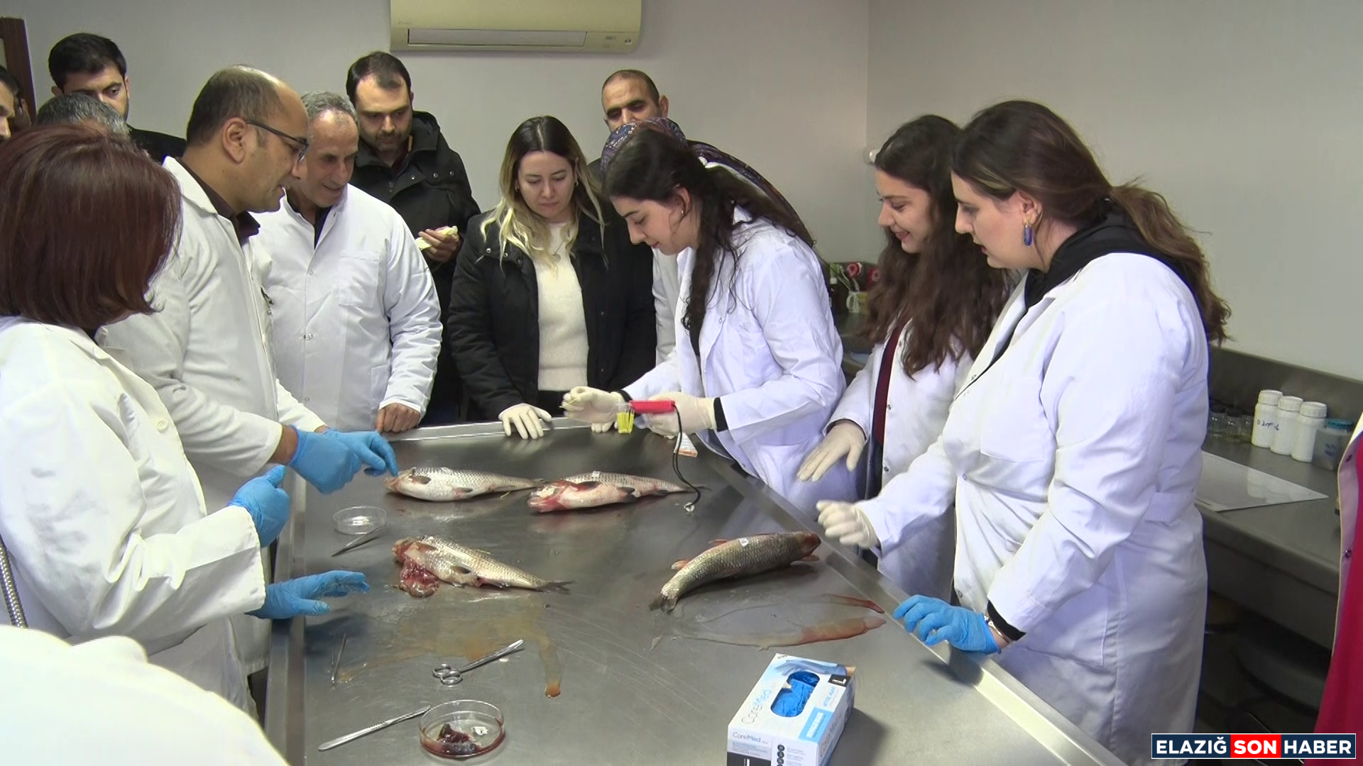 Vlcsnap 2025 12 29 18H29M37S991