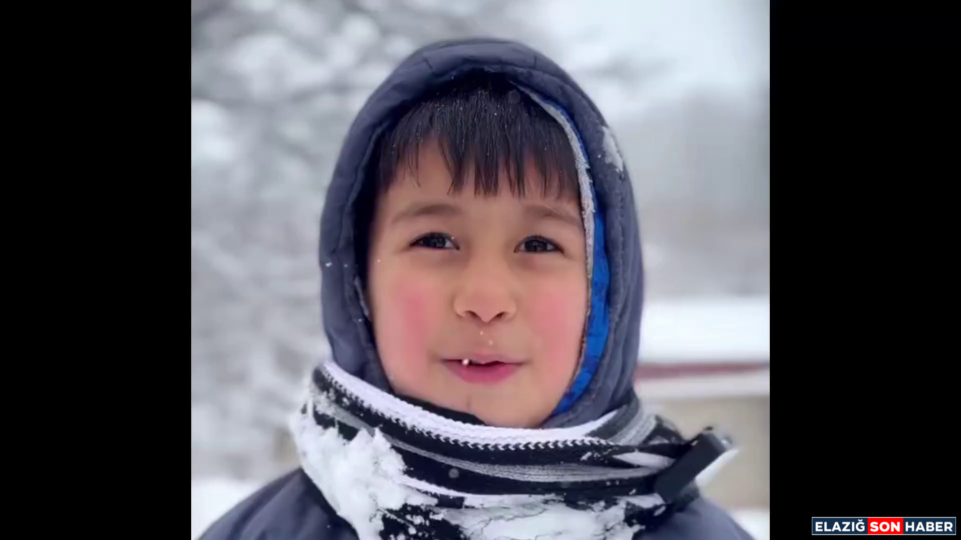 Vlcsnap 2025 12 30 15H12M27S057