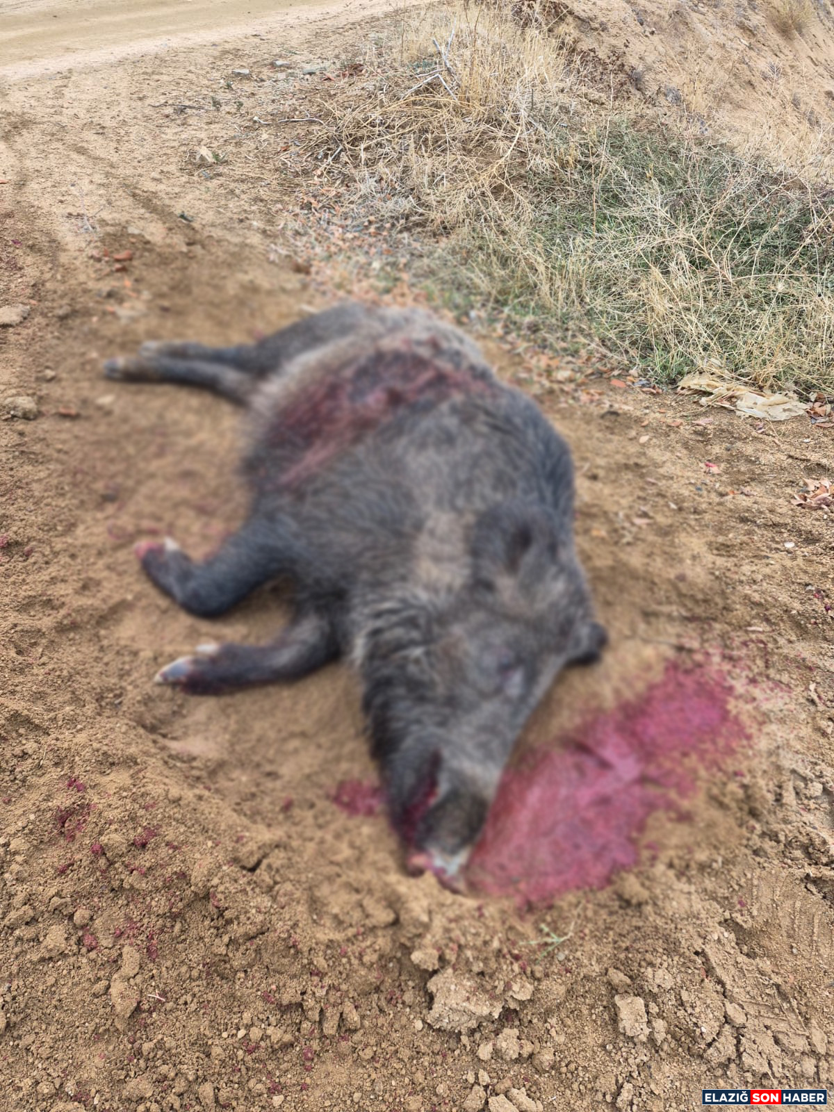 Whatsapp Görsel 2025 12 08 Saat 07.16.28 C0Ab72F7 Copy