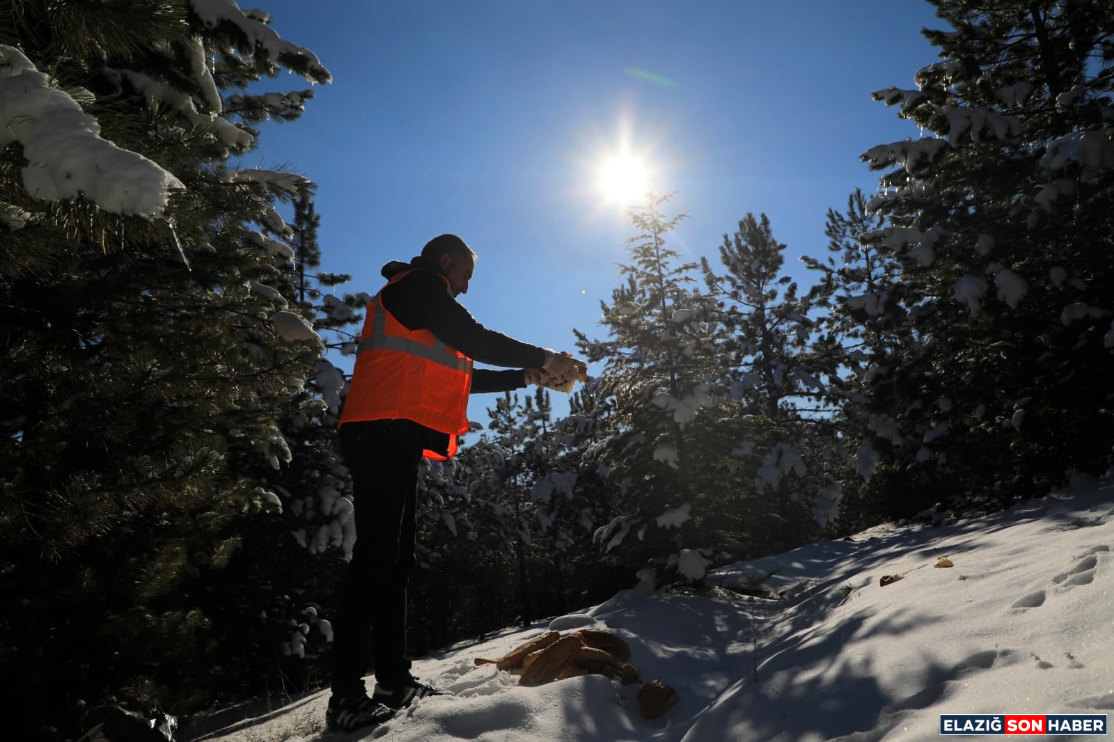 Whatsapp Image 2025 12 30 At 15.48.55