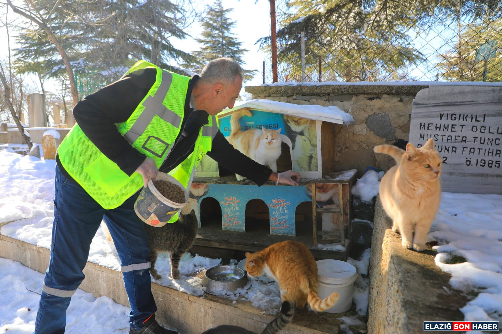 Whatsapp Image 2025 12 30 Axchxch 15.48.58