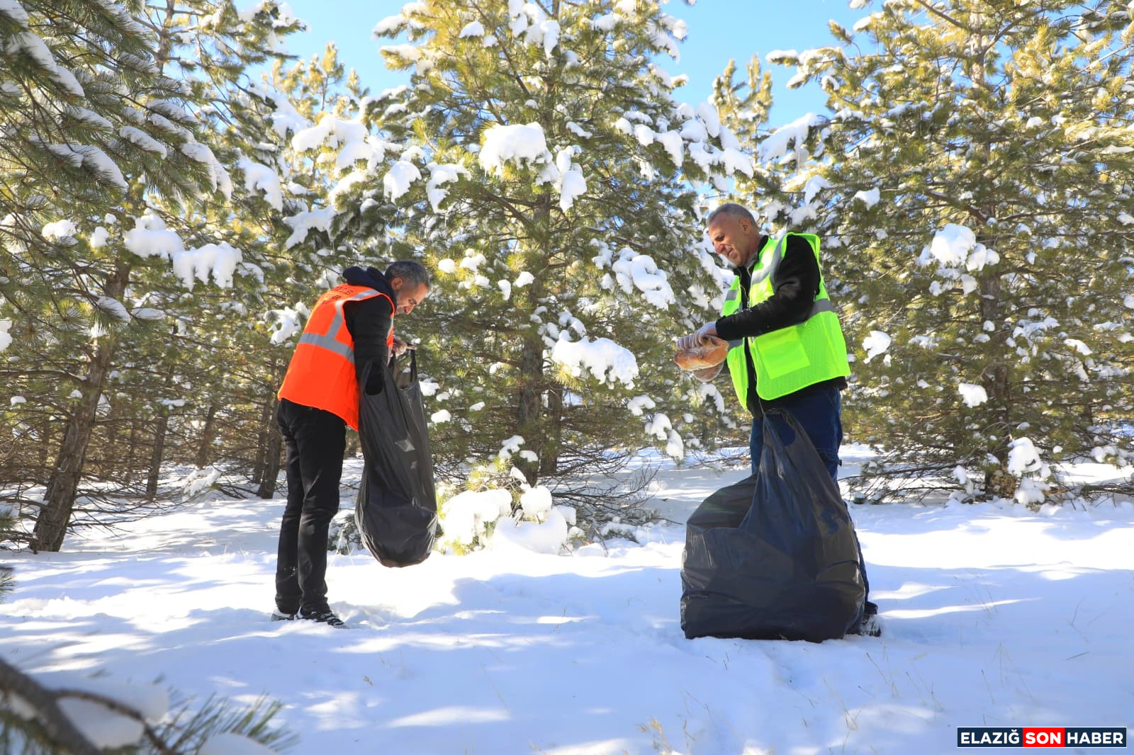 Whatsapp Image 2025 12 3Xchxhx At 15.48.55