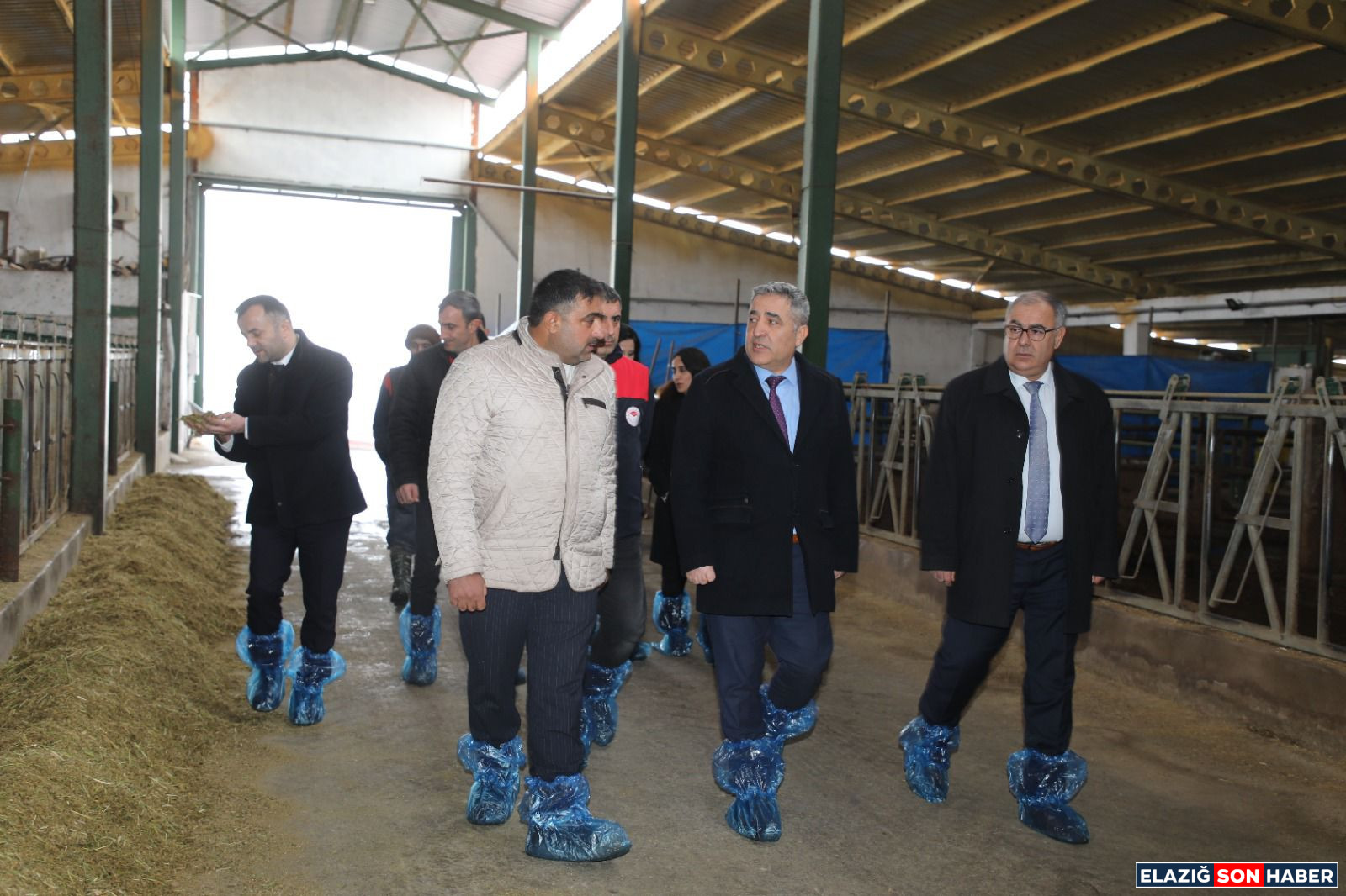 8664E753 B70C 4277 8D65 Be6172B977C3