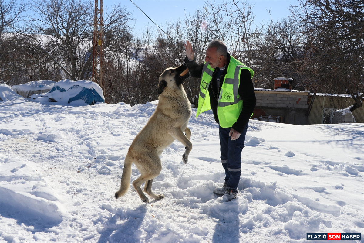 A A 20260103 40147255 40147246 I S M A K I N E S I K A R L I Y O L L A R I A C I Y O R E K I P L E R S A H I P S I Z H A Y V A N L A R I B E S L I Y O R