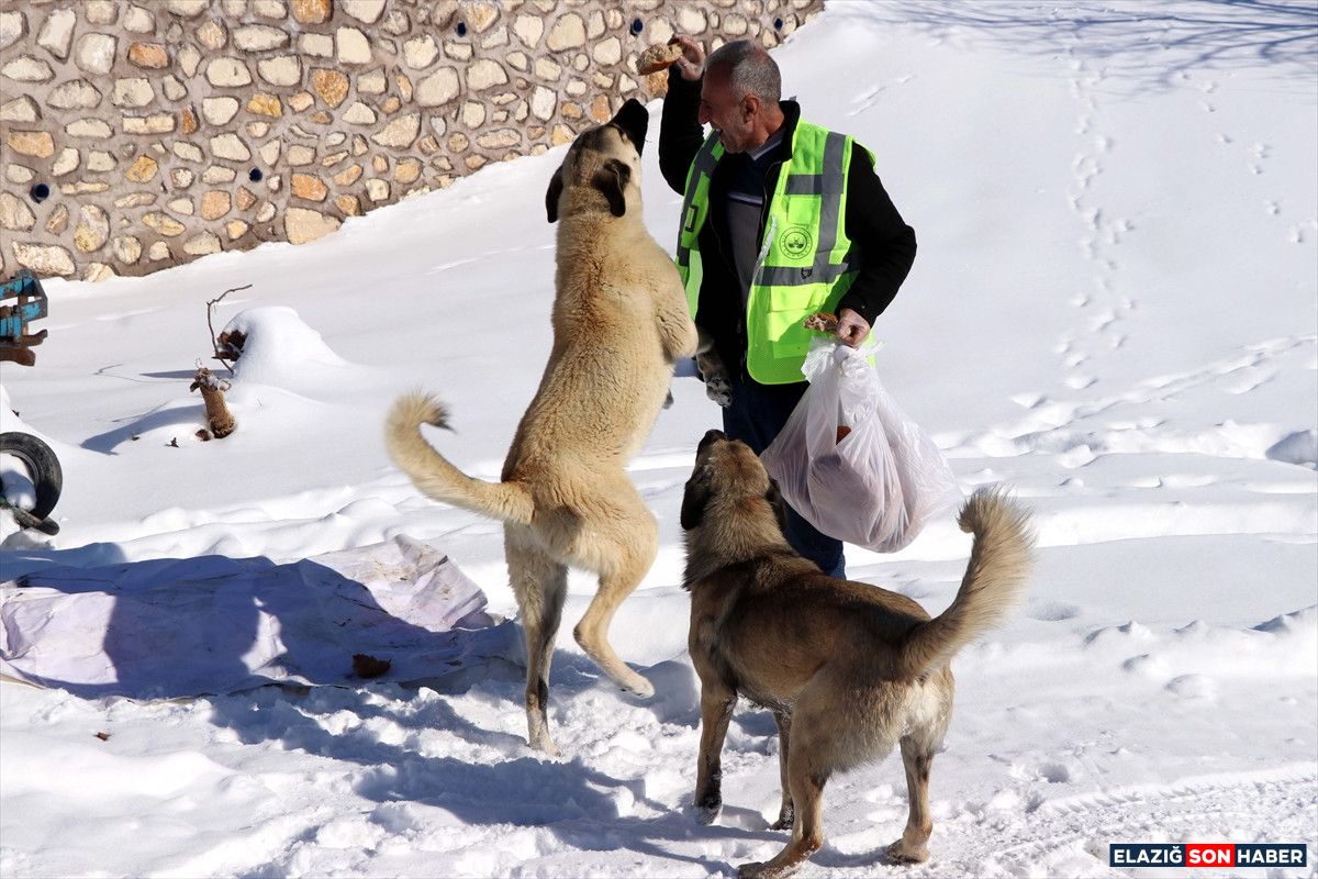 A A 20260103 40147255 40147247 I S M A K I N E S I K A R L I Y O L L A R I A C I Y O R E K I P L E R S A H I P S I Z H A Y V A N L A R I B E S L I Y O R