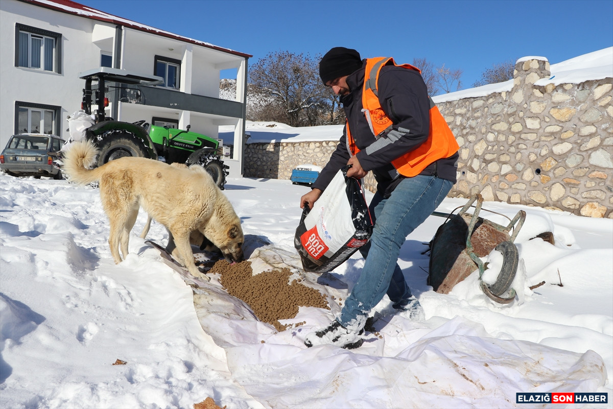 A A 20260103 40147255 40147251 I S M A K I N E S I K A R L I Y O L L A R I A C I Y O R E K I P L E R S A H I P S I Z H A Y V A N L A R I B E S L I Y O R