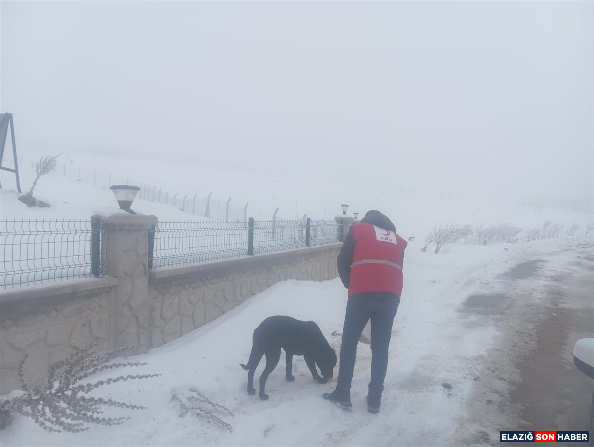 A A 20260108 40195877 40195876 T U R K K I Z I L A Y E K I P L E R I B A S K I L D E S A H I P S I Z H A Y V A N L A R I C I N Y E M V E M A M A B I R A K T I