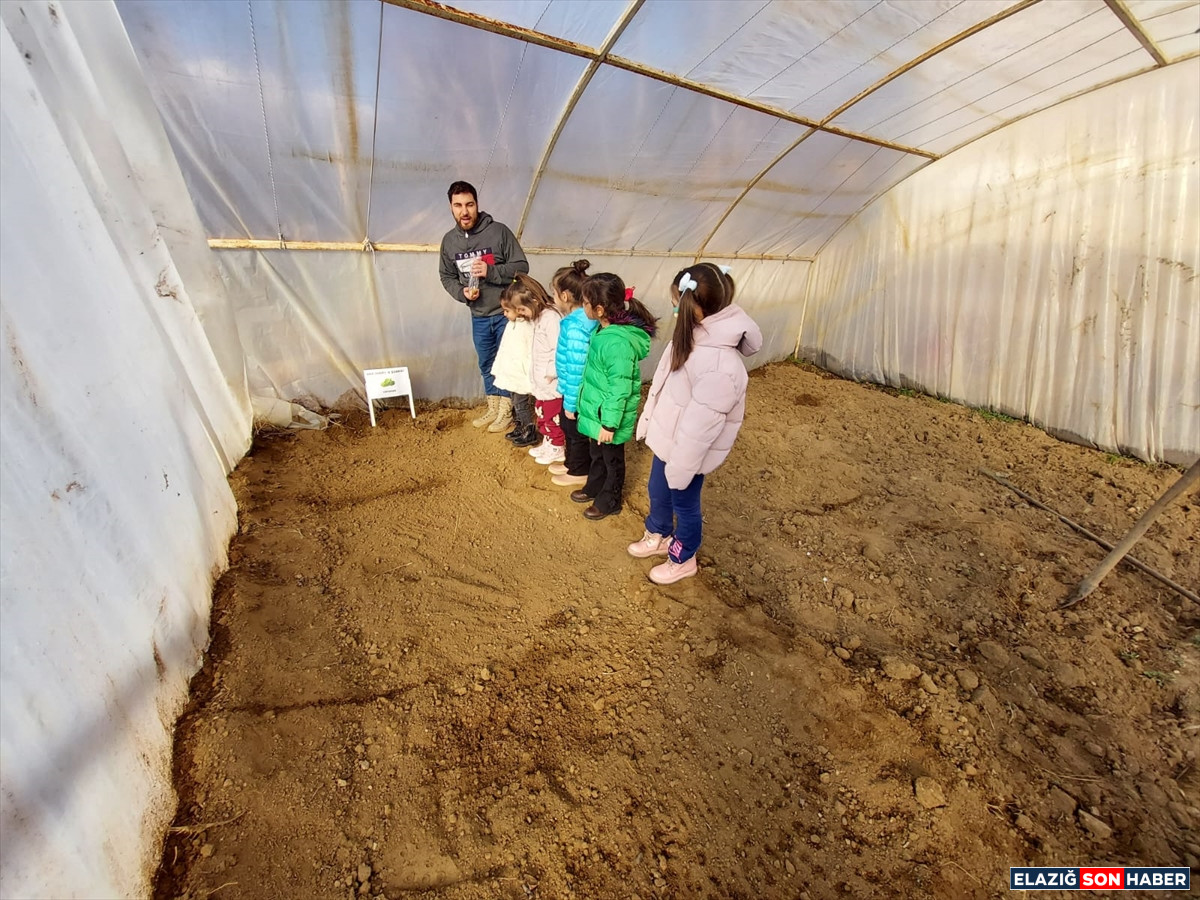 A A 20260115 40263943 40263939 K E B A N D A O G R E N C I L E R S E R A D A T O H U M L A R I T O P R A K L A B U L U S T U R D U